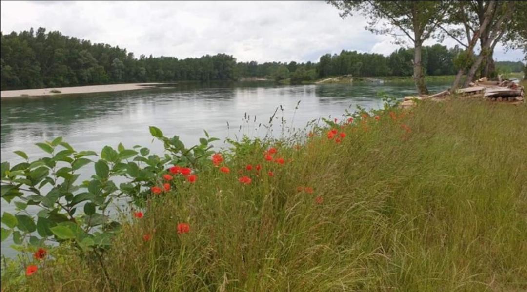 Appartement Drava 1 Donja Dubrava Eksteriør bilde